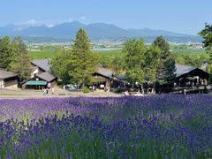 -富田农场