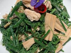 橄榄油鲜腐竹拌丝瓜尖-北平楼·烤鸭·北京菜(牡丹园店)