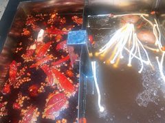 -二荆条·蜀鲜汇城市森林火锅