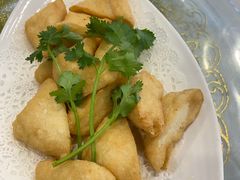 普宁炸豆腐-陆记鹅庄·潮汕菜·狮头鹅(大仟里店)