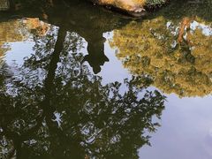 -虎丘山风景名胜区