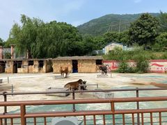 -无锡动物园·太湖欢乐园