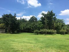 -滴水岩森林公园