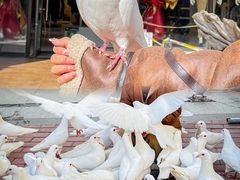-王府井奥莱临潼小镇(临潼店)