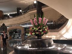 -香港尖沙咀凯悦酒店