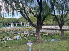 -昆山隆祺国际饭店