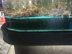 -阿伟海鲜楼·福建菜(延寿店)