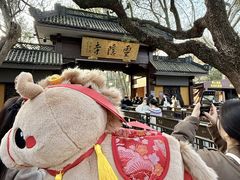 -南宋胡记(杭州灵隐寺店)