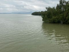 -深圳湾公园(南山区)