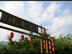 -天门沟九州驿站树上汤泉