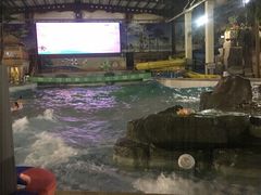 -南宫温泉水世界