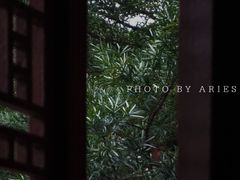 -普陀山风景区-佛顶山