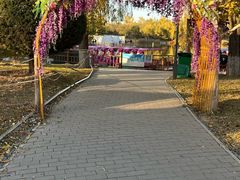 -燕郊植物园