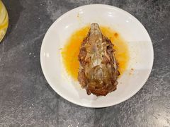 兔头-紫泥369粗粮季(鼓楼店)