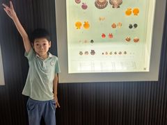 -青岛贝壳博物馆