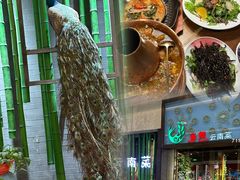 -雀舞云南菜(天津天河城购物中心店)