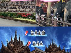 -东芭乐园