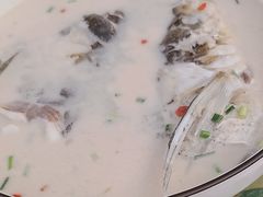 -渔老大·有机鱼馆·老字号(古城店)