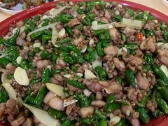 -东吴霸王兔(松青路店)