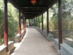 -八大山人梅湖景区