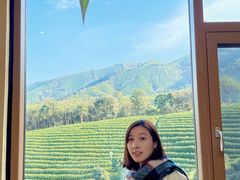 -白茶原·一片叶子