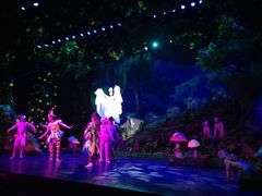 小鸟表演-横店影视城梦幻谷园区