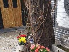 -悦真雅院·四合院·清真私房菜(雍和宫店)