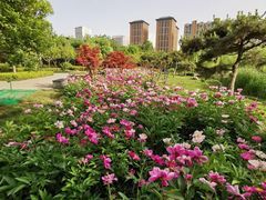 -木塔寺遗址生态公园
