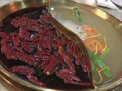 -杨家火锅(国美店)