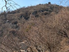 -北京鹫峰国家森林公园