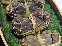 -成隆行·蟹王府(九江路店)