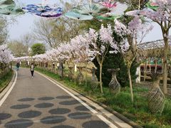 -武汉紫薇都市田园