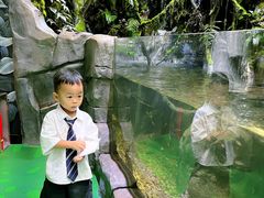 -海合安成都极地海洋公园