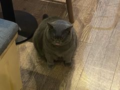 -小时光咖啡馆(开森度假森林店)