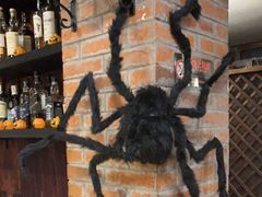 -巴伐利亚啤酒坊(意式风情街店)