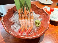 -鸟屋·烧鸟串烧居酒屋(新世纪广场店)