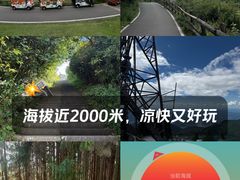 -武陵山森林公园