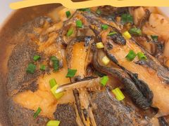 鲽鱼头-海派美食·家宴海鲜青岛菜·石锅鲽鱼头(东方城店)