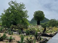 -Club Med地中海俱乐部·桂林度假村