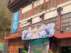 -西双版纳原始森林公园