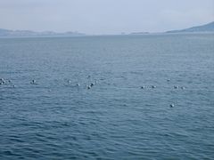 -悦海公园