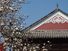 -长春观