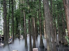 -东湖落雁景区