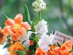 -花生FM_FLOWERS