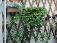 -八珍手工水饺·妈妈的爱(传芳巷店)