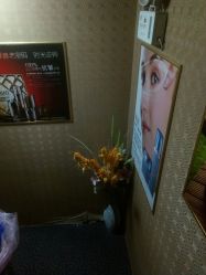 -归真美学颜究中心
