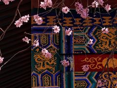 -桃花堤公园