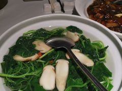 松茸苋菜汤-悦融·京鲁菜·露台花园(安定门店)