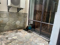-苏州环秀晓筑养生度假村