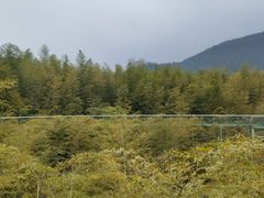 -陶祖圣境风景区